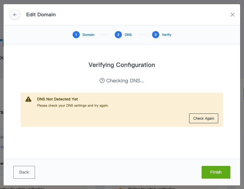 DNS not detected
